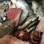 Lanchonete Gatinha Manhosa Comida