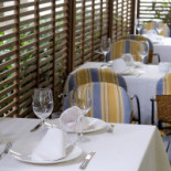 Bora! Food Turk Dentro