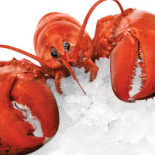 Ava Salgados Comida