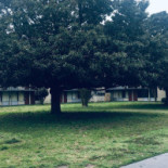 Armazém Da Roça Bistrô Extérieur