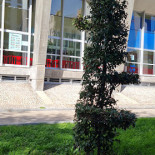 Point Mix Extérieur