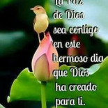 Feijao Preto Carta