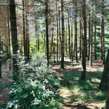 Cacau Show Extérieur