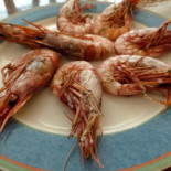 Paladar Comida