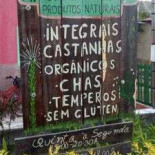 Alecrim Do Cerrado Extérieur