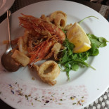 Curillus Food