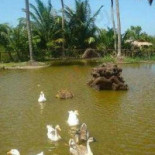Fazendinha Parque Raposa Extérieur