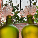 Tembiu're Boisson