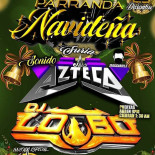 Do Mirim Logo