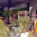 Lanchonete Beira Rio Exterior