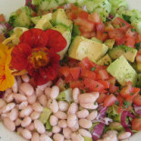 Casa Café Comida