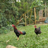 Rancho Do Rildo Exterior