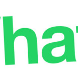 Deck Choperia Salvaterra Logo