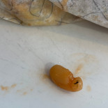 A Kangaya Boisson