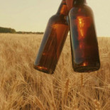 Cervejaria Backer Boisson