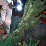 Caipira Extérieur