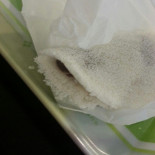 Pontinho Da Tapioca Bebida