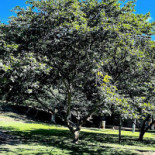 Espaço Reduza Camping Eventos E Lazer Extérieur