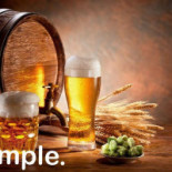 Simple. Bar Restaurante Boisson