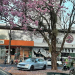 Koni Store Extérieur