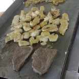 Fino Grill Nourriture