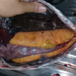 Bá Lanches Nourriture