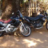 Rancho Do Tropeiro Boisson
