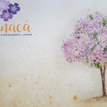 Manacá Bar E Restaurante Bebida