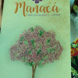 Manacá Bar E Restaurante Carta