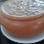 Cactus Bebida