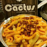 Cactus Nourriture