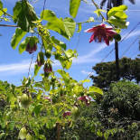 Rancho Do Rildo Exterior