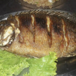 Barraca 2 Coqueiros Nourriture