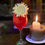 Célula Tronco Boisson