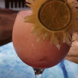 Célula Tronco Boisson