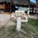 Barraca Tabúzios Extérieur