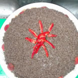 Brasa Vino E Pizzaria (macaé Nourriture