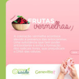 Genevitta Mercado E Carta