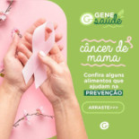 Genevitta Mercado E Bebida