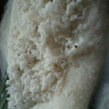 Tapiocaria De Mosqueiro Boisson