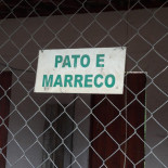 Barraca Verde 2 Bebida