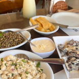 Bidoca Comida