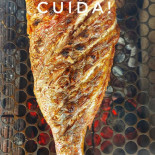 Brilho Da Lua Taíba Carta