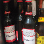 Churrascaria E Galeteria MatÕes Boisson