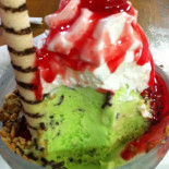 Pinguim Nourriture