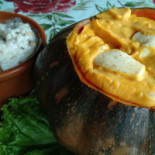 Maragolfinho Nourriture