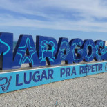 Maragolfinho Logo