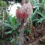 Canoas Bistrô Extérieur