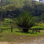 Papai Exterior