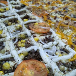 Benhalí Pizzaria Nourriture